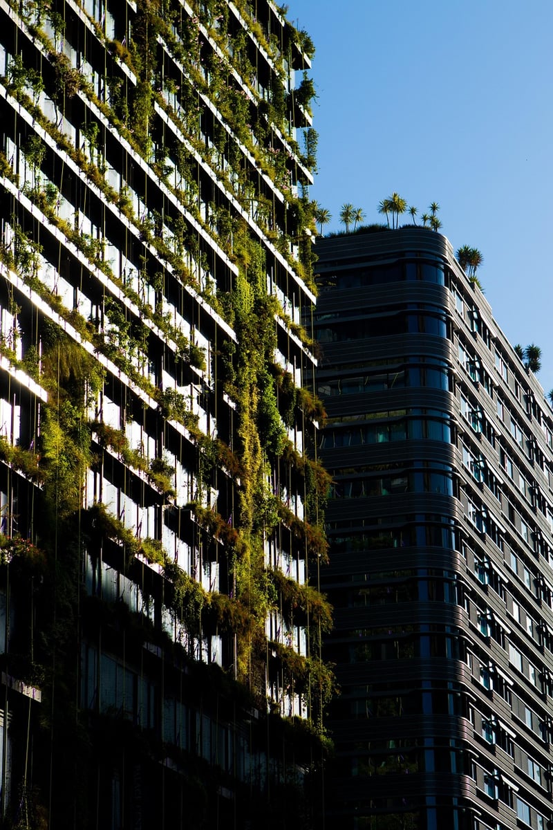 Vertical Gardening Techniques